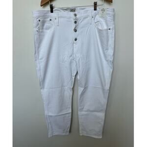 J. Crew 10" Vintage Straight Denim Jeans White Button Fly Plus Sz 35 NWT